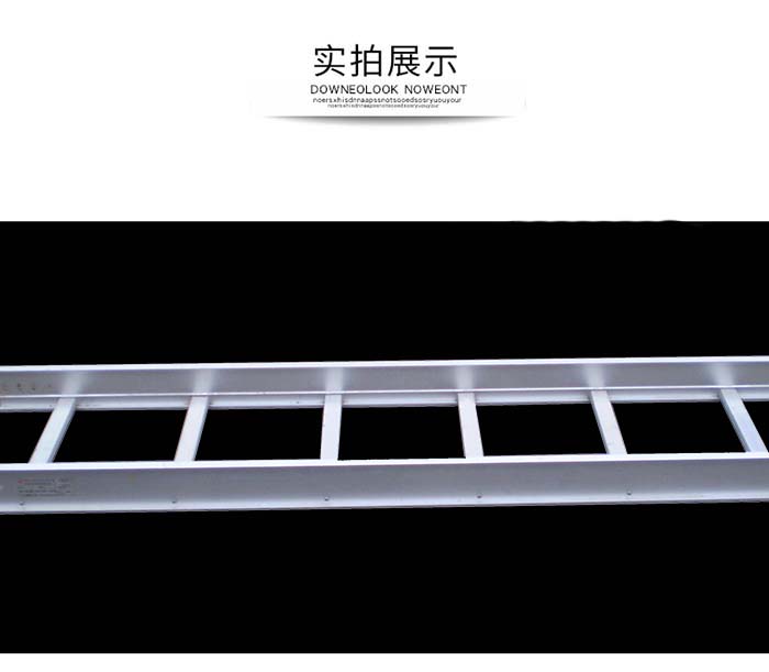 威圖橋架實拍